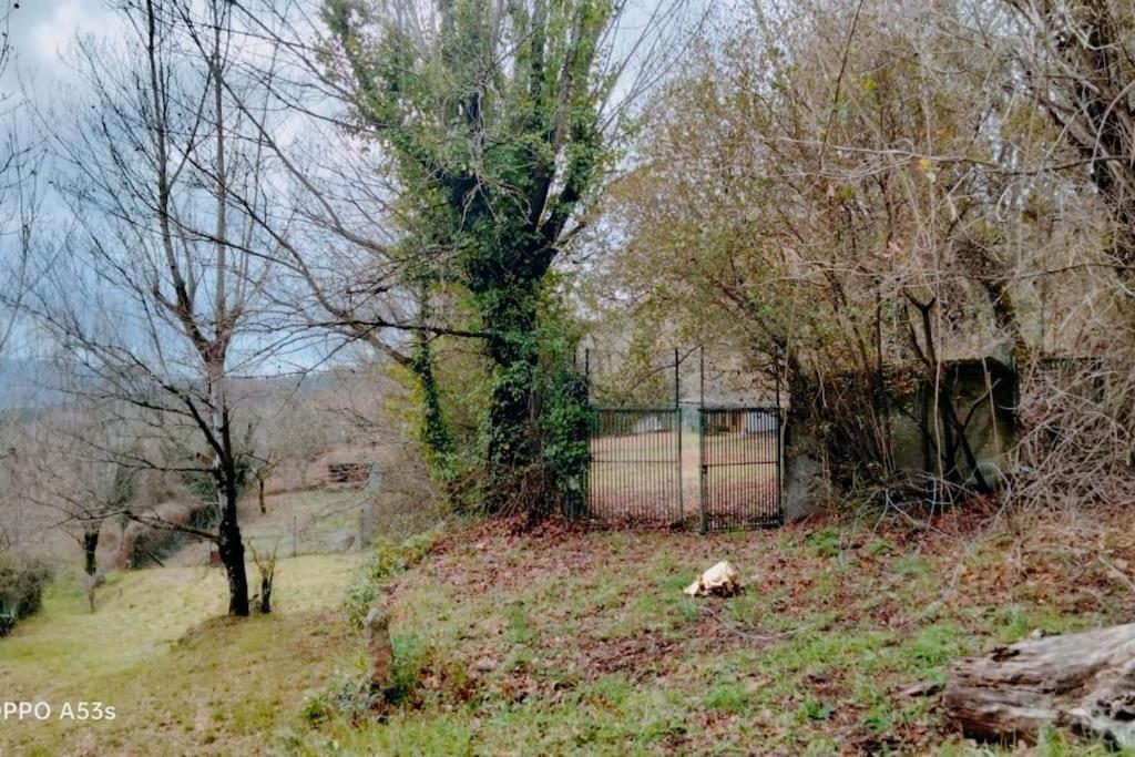 Sande  Confort, Fun And Leisure In Douro Rural Space מראה חיצוני תמונה