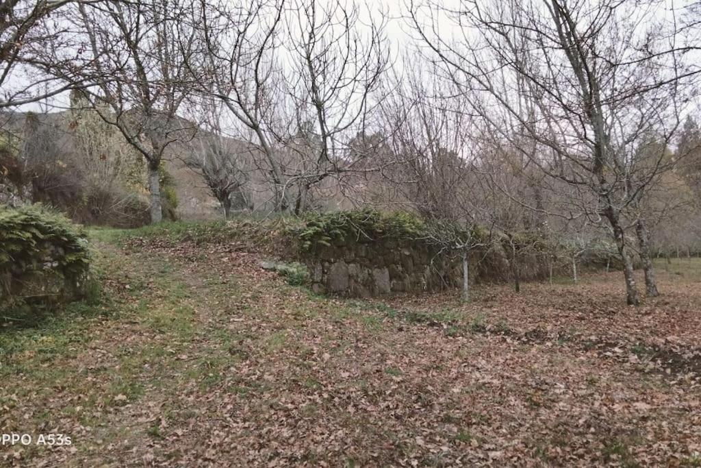 Sande  Confort, Fun And Leisure In Douro Rural Space מראה חיצוני תמונה