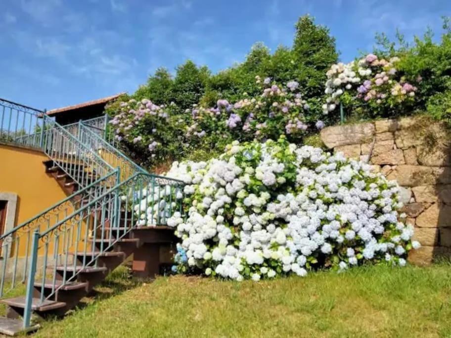 Sande  Confort, Fun And Leisure In Douro Rural Space מראה חיצוני תמונה