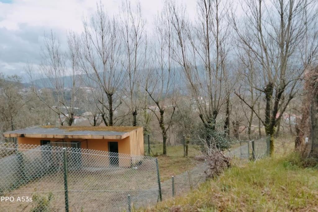 Sande  Confort, Fun And Leisure In Douro Rural Space מראה חיצוני תמונה